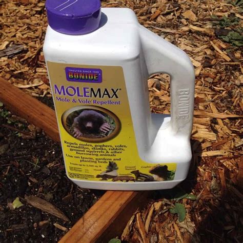 u scram chipmunk repellent.